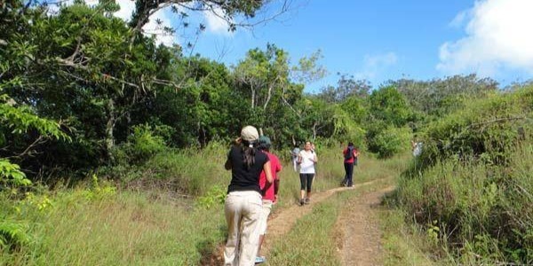 Trekking & Hiking at Andrea Lodges