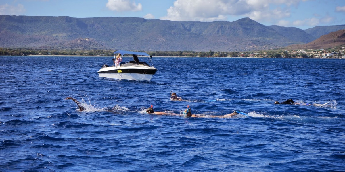 Half Day Speed Boat Western Beauty