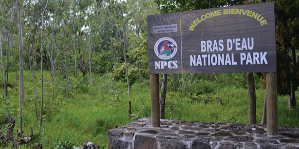 Hiking at Bras D'eau National Park