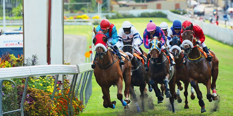 VIP horse Racing in Mauritius 