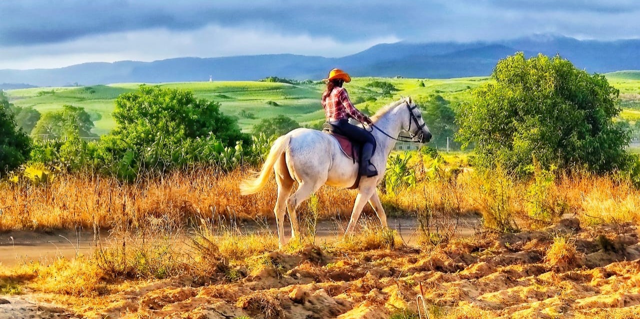 Horse Riding in the Fields