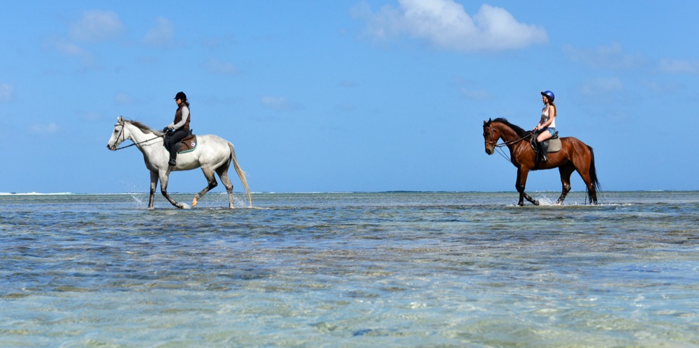 Horse Riding-Centre Equestre de Riambel MUR 1,500