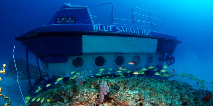 Blue Safari Submarine 