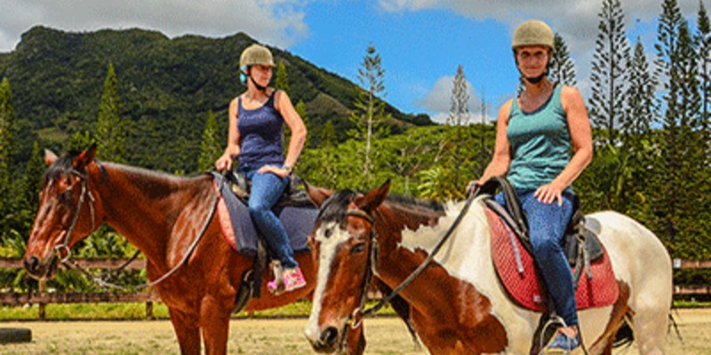 Horse back excursion at Domaine de L'etoile