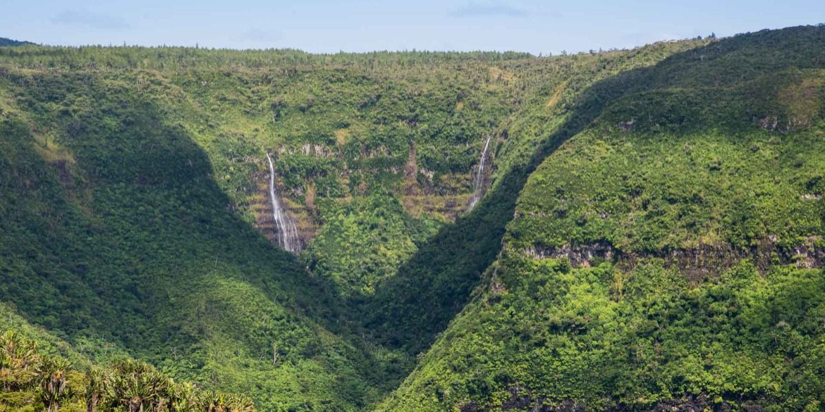 Black River Gorges Hike