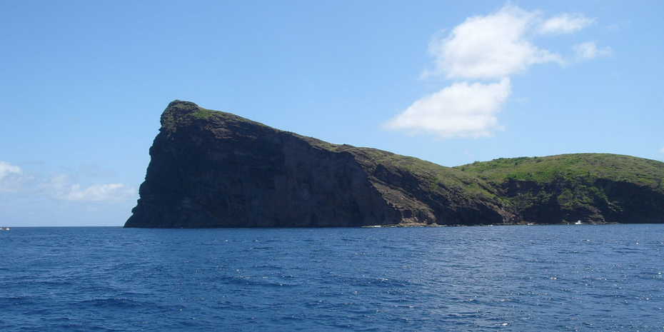 Catamaran Cruise Northern Island